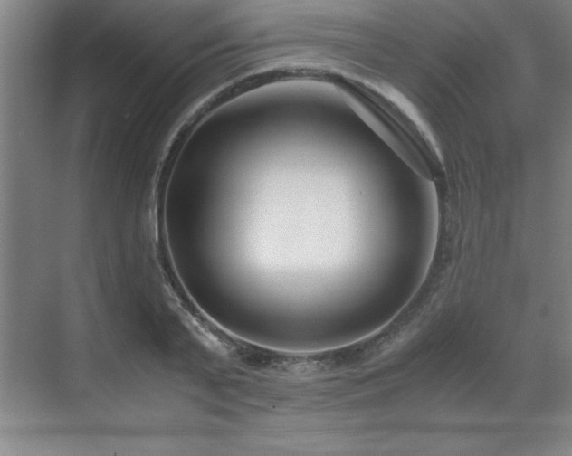 X0000071950791200607071209