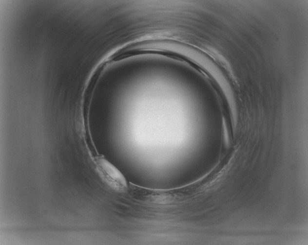 X0000071950792200607071209