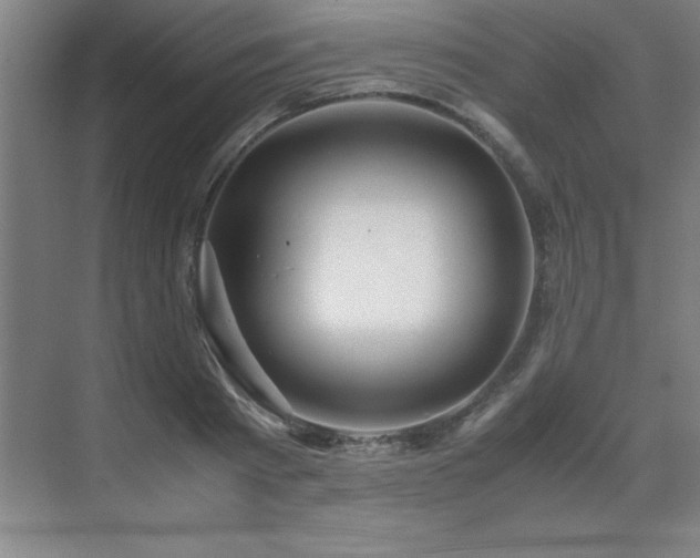 X0000071950793200607071209