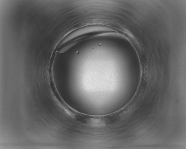 X0000071950794200607071209