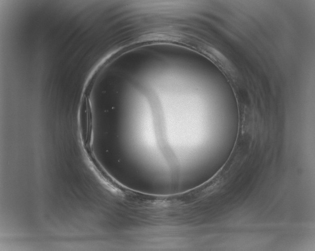 X0000071950796200607071209