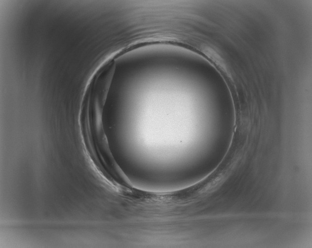 X0000071950797200607071209