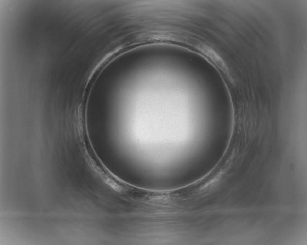 X0000071950798200607071208