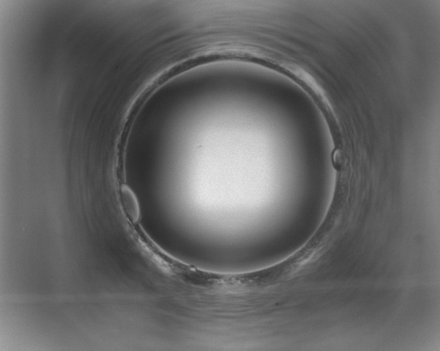 X0000071950799200607071208