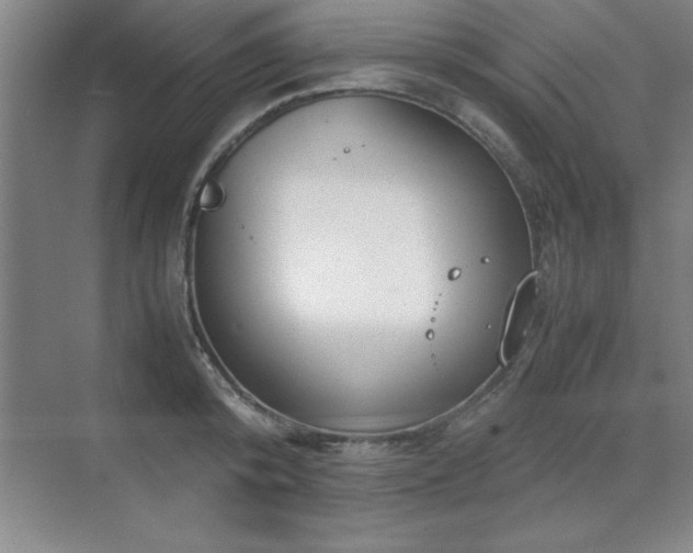 X0000071950800200607071208