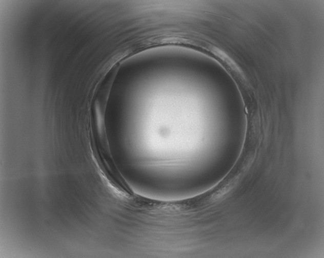 X0000071950801200607071208