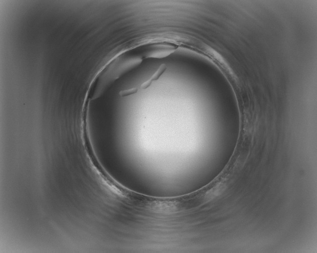 X0000071950802200607071208