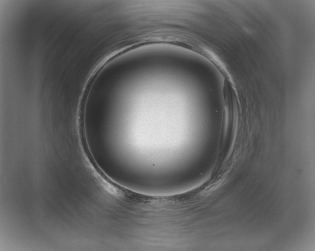 X0000071950803200607071208