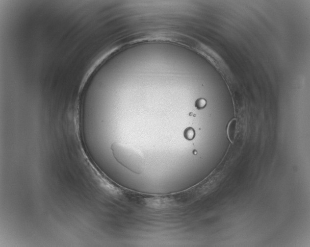 X0000071950804200607071208