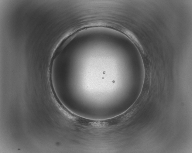 X0000071950805200607071208