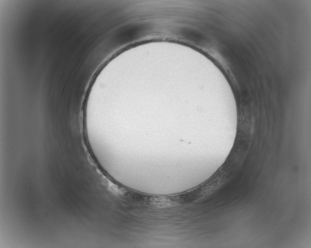 X0000071950807200607071208