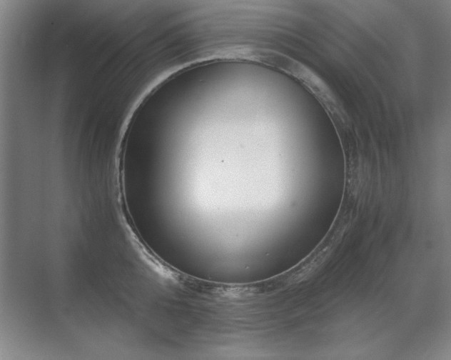 X0000071950808200607071208