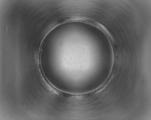 X0000071950810200607071208