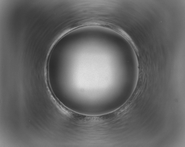 X0000071950811200607071208