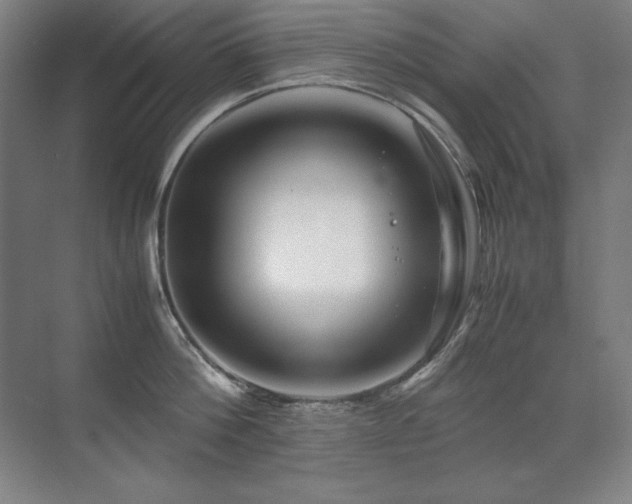 X0000071950812200607071208