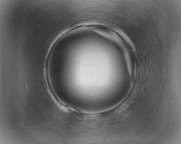 X0000071950813200607071208