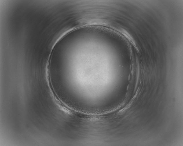 X0000071950814200607071208