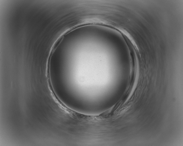 X0000071950815200607071208