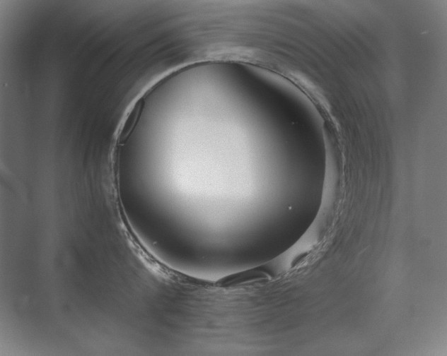 X0000071950816200607071208