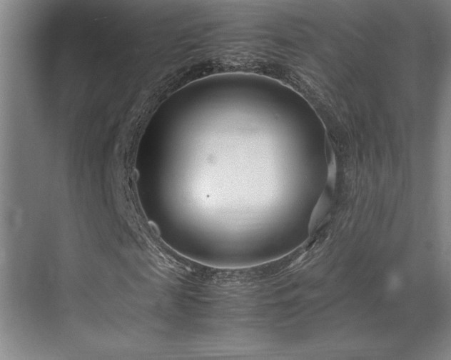 X0000071950817200607071207