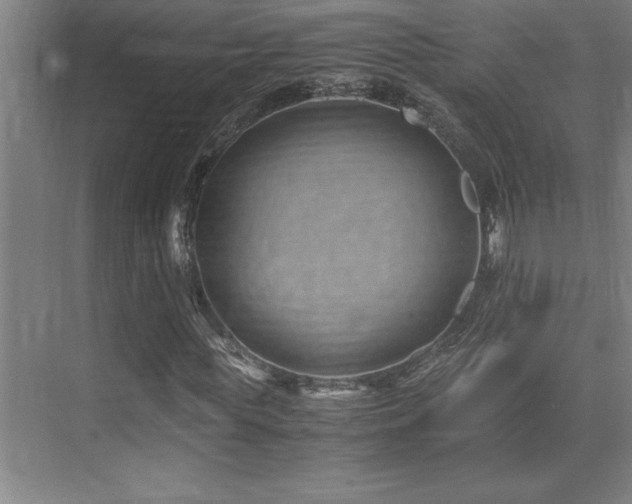 X0000071950819200607071207