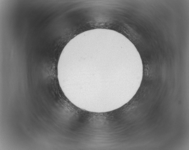 X0000071950820200607071207