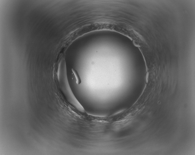 X0000071950821200607071207