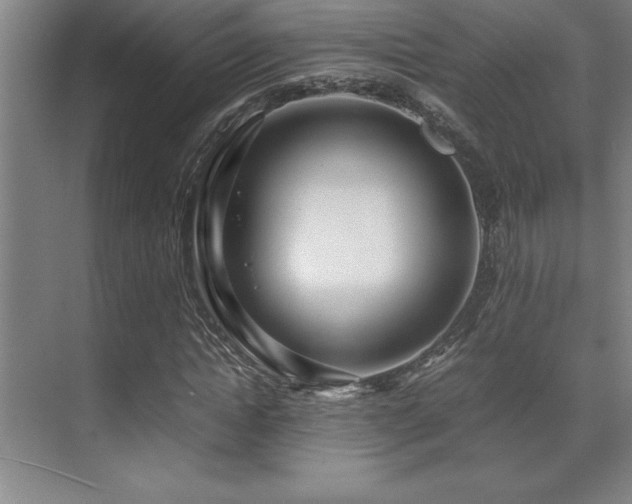 X0000071950822200607071207