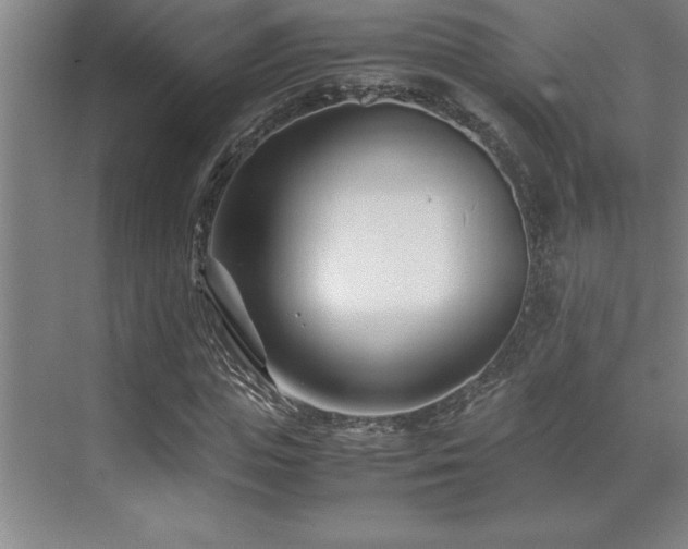 X0000071950823200607071207