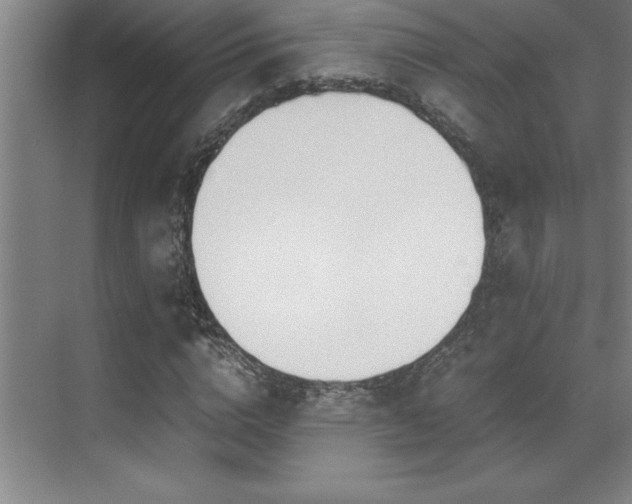 X0000071950824200607071207