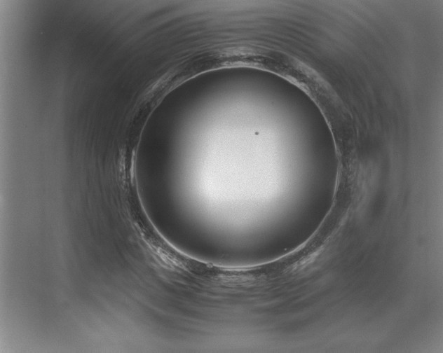 X0000071950825200607071208