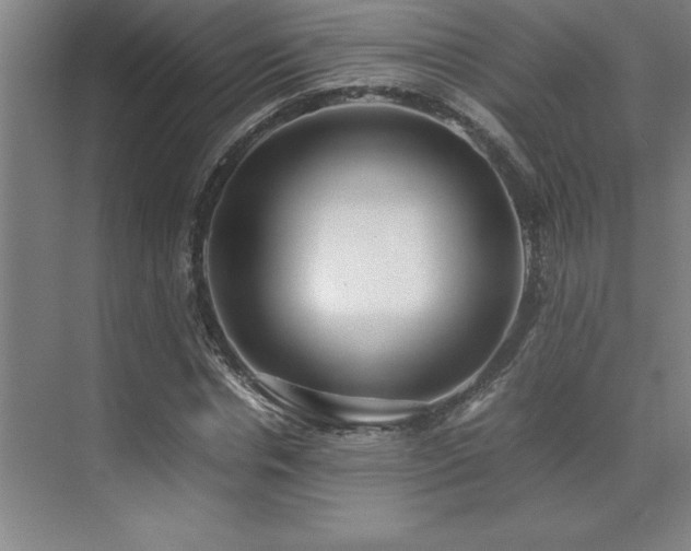 X0000071950826200607071208