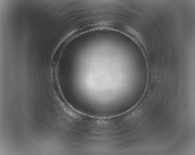 X0000071950827200607071208