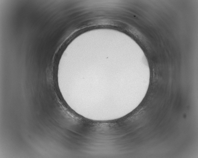 X0000071950828200607071208