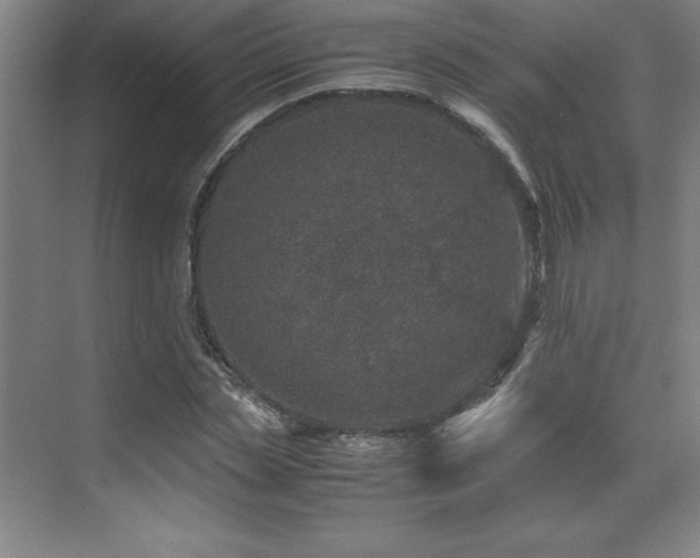 X0000071950829200607071208