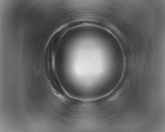 X0000071950830200607071208