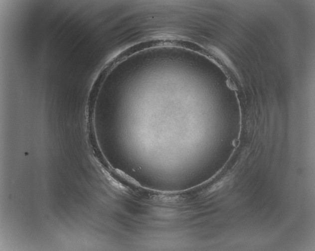 X0000071950831200607071208