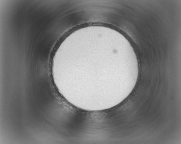 X0000071950832200607071208