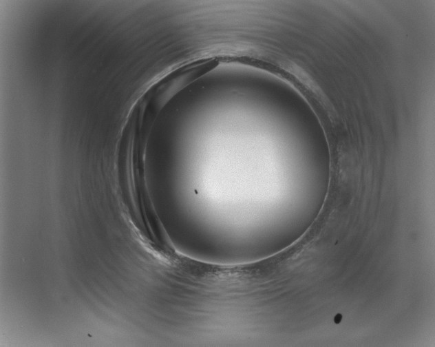 X0000071950834200607071208