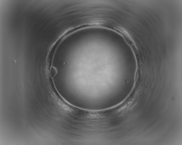 X0000071950835200607071208