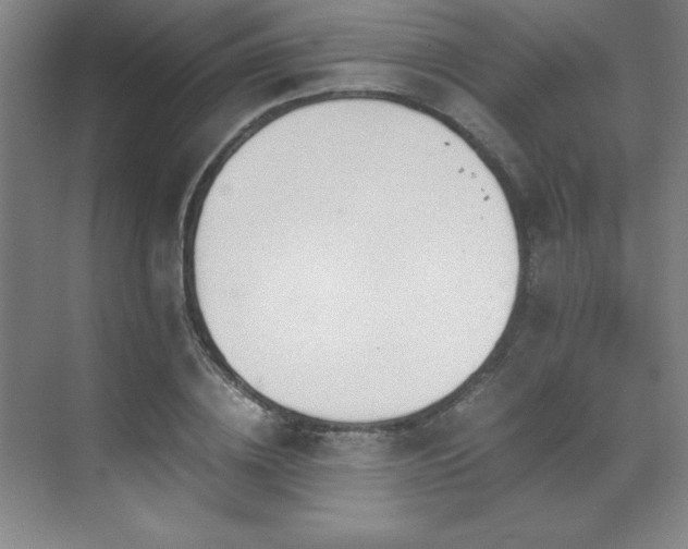 X0000071950836200607071208