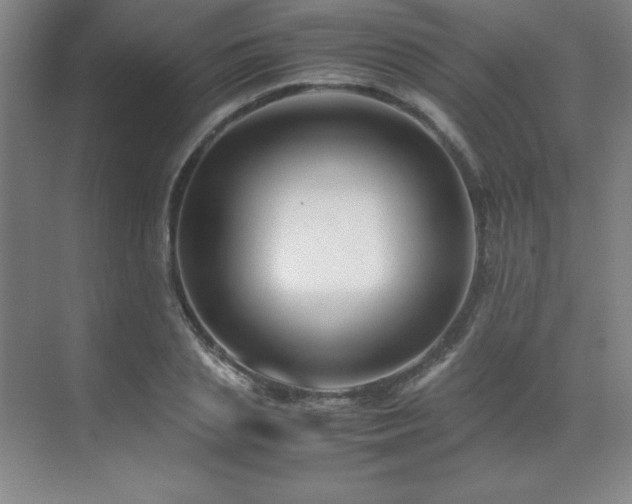 X0000071950837200607071208