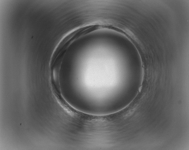 X0000071950838200607071208