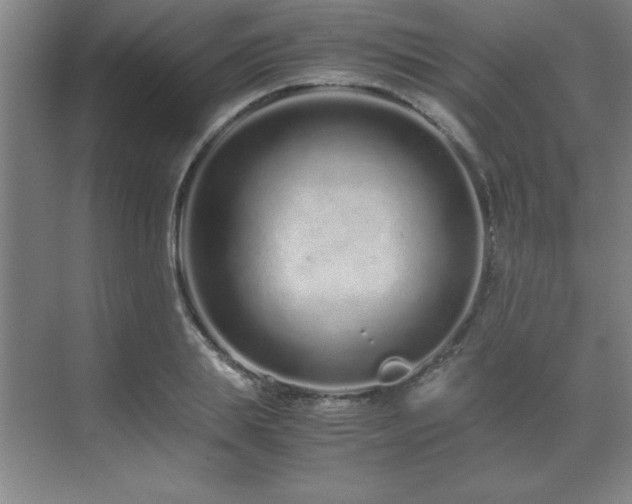 X0000071950839200607071208