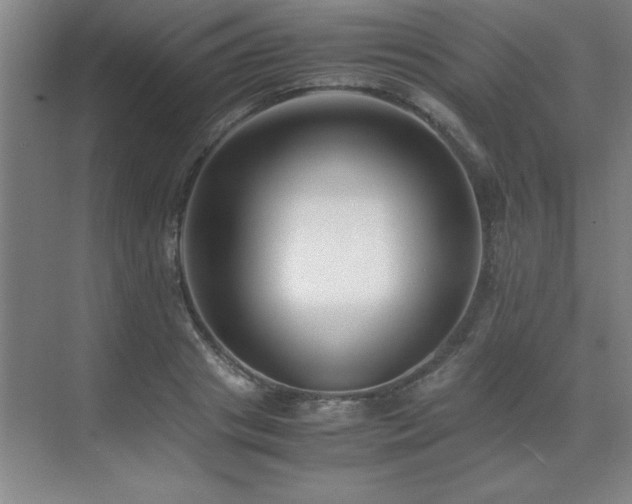 X0000071950841200607071208