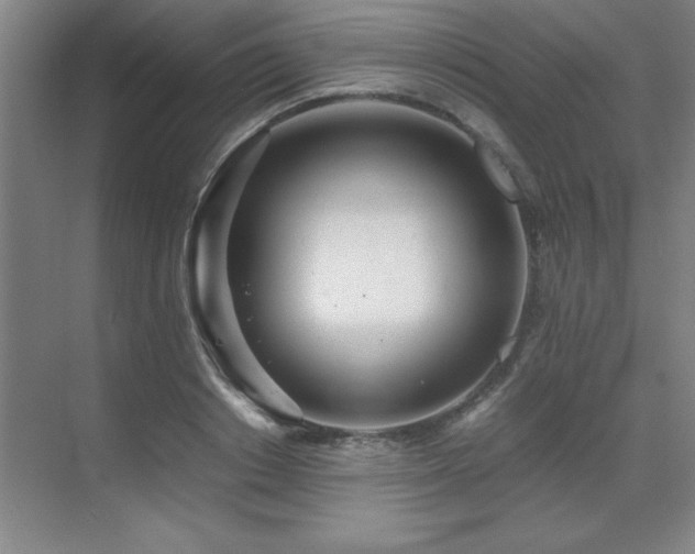 X0000071950842200607071208