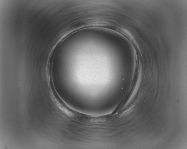 X0000071950843200607071208