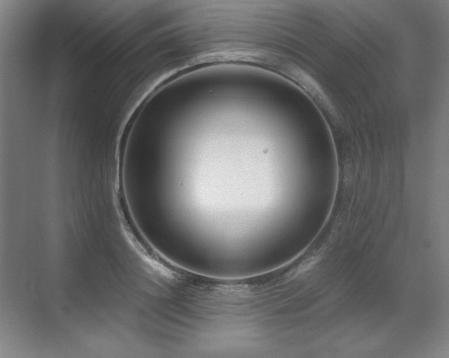 X0000071950844200607071208