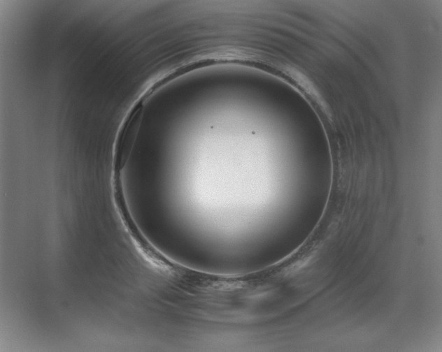 X0000071950845200607071208