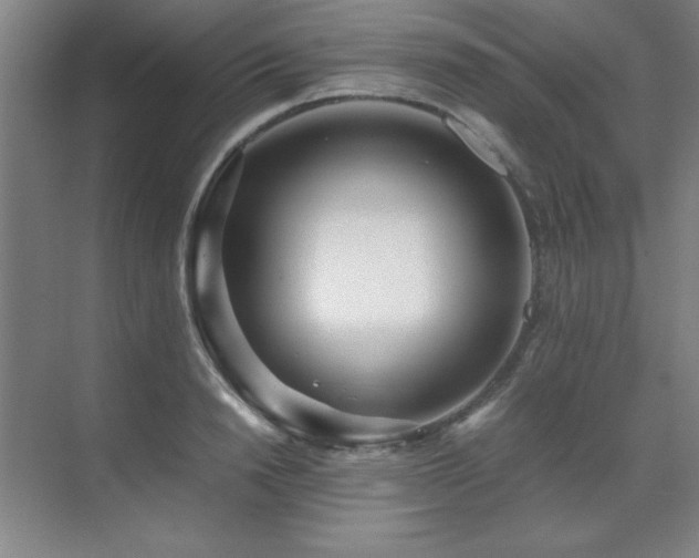 X0000071950846200607071208